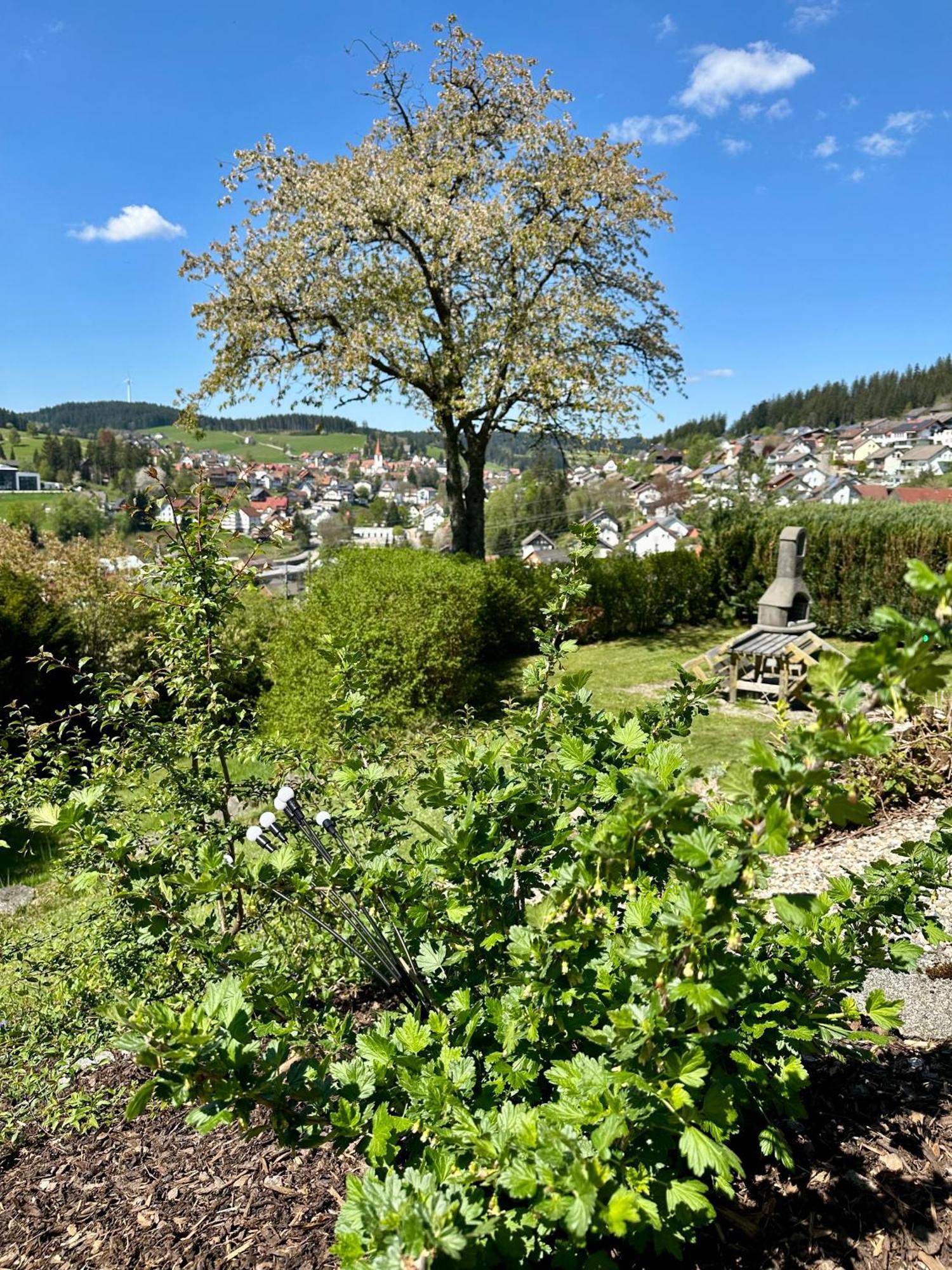 Апартаменти Sonneck Schonach Schonach im Schwarzwald Екстер'єр фото